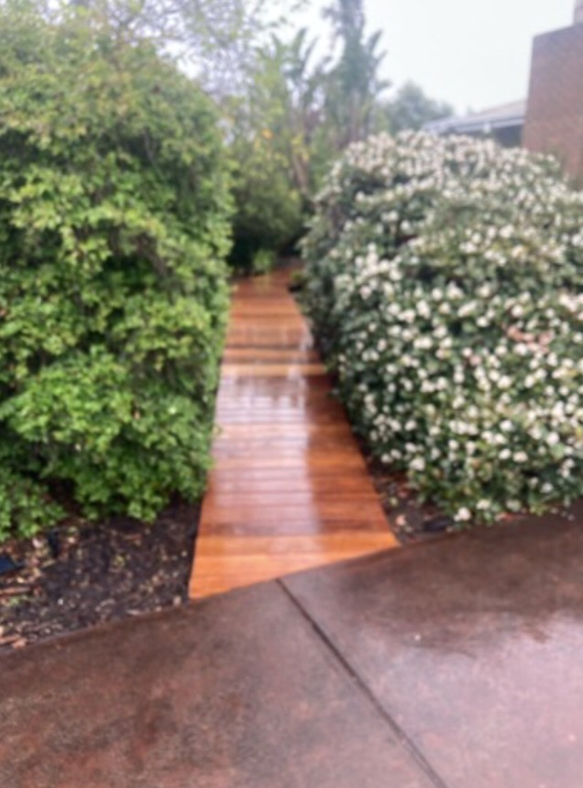 Cush Courtyards project